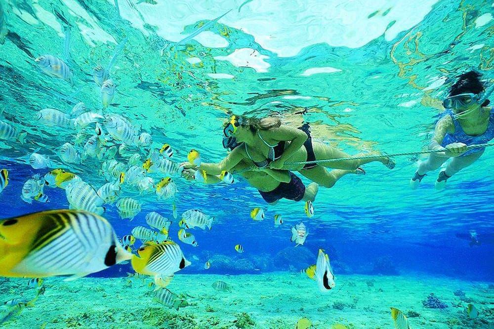 Nyuh Gading Home Stay - Nusa Penida