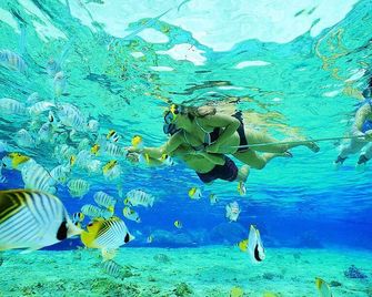 Nyuh Gading Home Stay - Nusa Penida