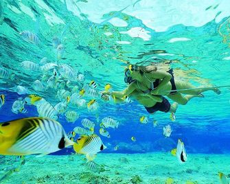 Nyuh Gading Home Stay - Nusa Penida