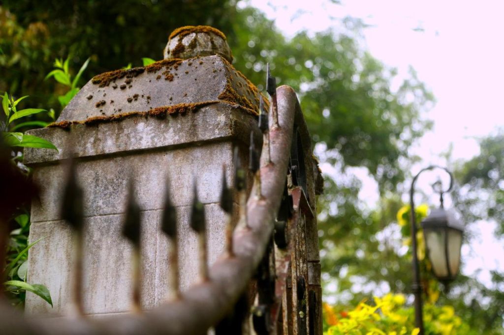 Old Kent Estates & Spa, Coorg - מדיקרי