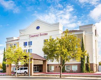 Comfort Suites Clovis - Clovis - Gebouw