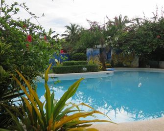 Vanilla Sky Dive Resort - Panglao - Pileta