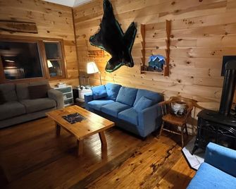 Escape from reality away to this beautiful off grid cabin located in Ticonderoga - Ticonderoga - Wohnzimmer