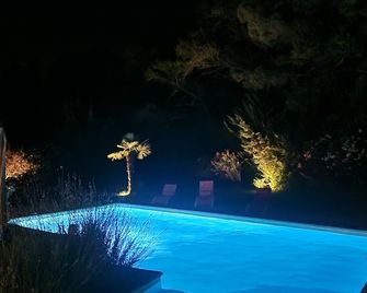 air-conditioned Provencal farmhouse 210m2 alpilles luberon private swimming pool - Mallemort - Pool