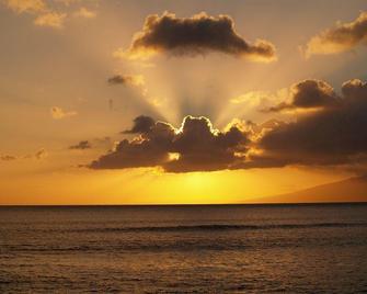 Lokelani - Lahaina