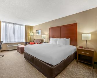Comfort Inn Memphis Downtown - Memphis - Bedroom