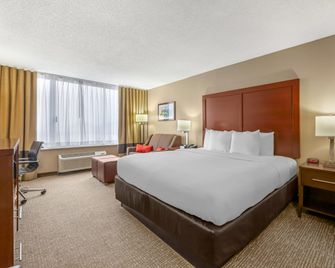 Comfort Inn Memphis Downtown - Memphis - Bedroom