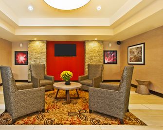 Holiday Inn Express & Suites Springfield - Dayton Area By IHG - Springfield - Lounge