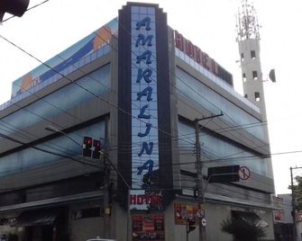 Lina Motel Tatuapé - סאו פאולו - בניין