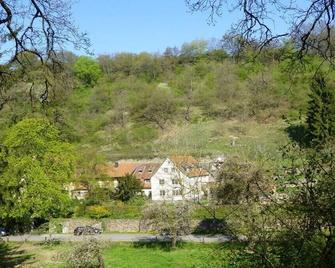 Holiday apartment garden paradise - Urbar (Mayen-Koblenz)
