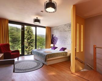 Apartmány Adam - Jáchymov - Habitación