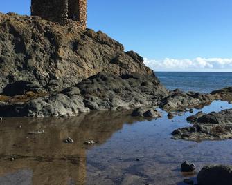 Kittiwake Apartment, Pittenweem - stunning Sea Views in picturesque village. - Anstruther - Beach