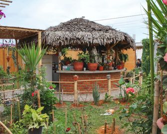 Coco & Ainhoa Lodge - Paracas