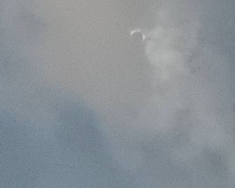 Cozy cabin with 1 bedroom and AC, WiFi in charming Austin - Austin