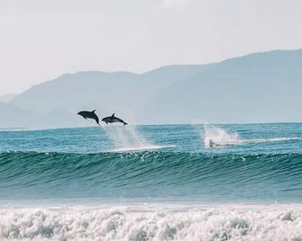 Aotearoa Surf Eco Pods - Mangawhai