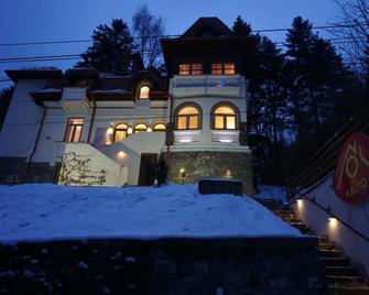 Vila Arizto - סינאיה - בניין