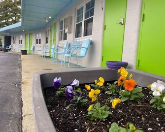 Yellow Springs Motel - Yellow Springs - Patio