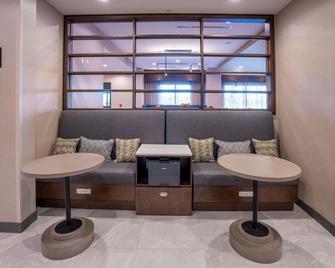 Hampton Inn By Hilton Huntley Chicago - Huntley - Lounge