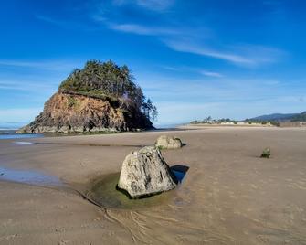 White Wing - Neskowin - Beach