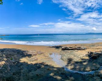 Hotel Las Caletas Lodge - Agujitas de Drake - Strand