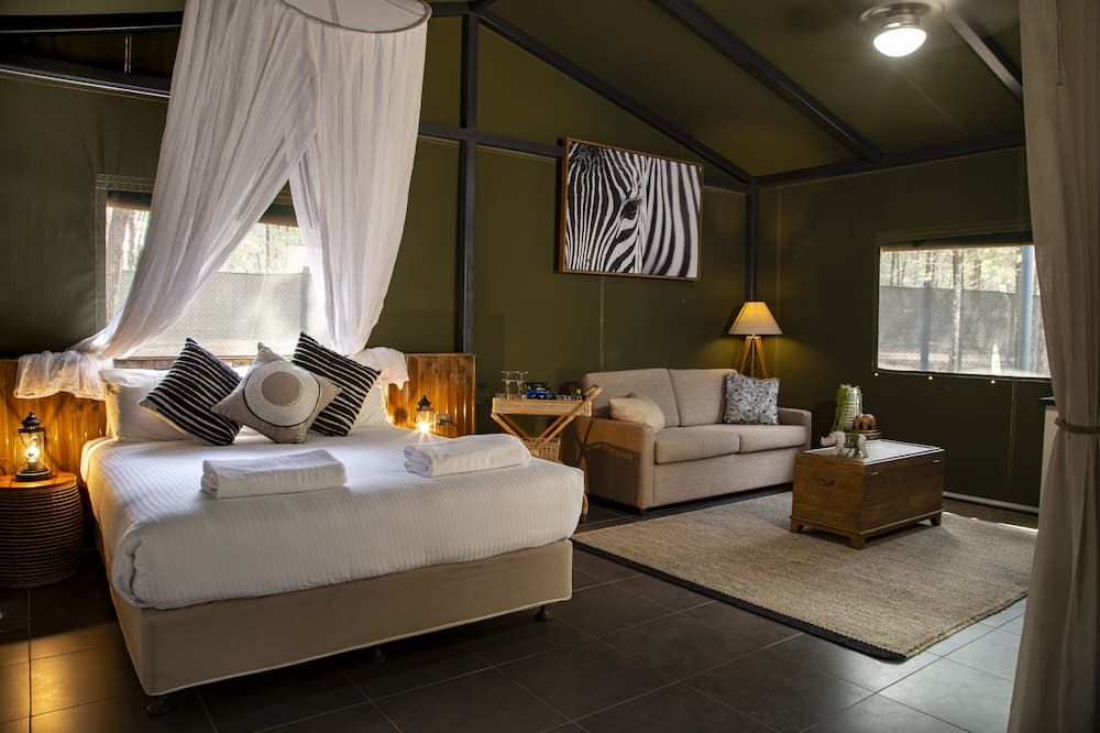 Zoofari Lodge at Taronga Western Plains - Dubbo - Olohuone