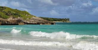 The Vieques Guesthouse - Vieques - Plage