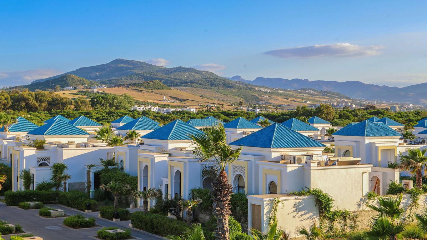 بانيان تري تامودا باي