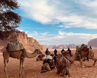 Wadi Rum - Valle de la Luna