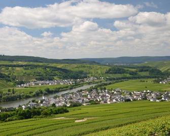 Riesling apartment on the Moselle terrace - Detzem - Outdoor view