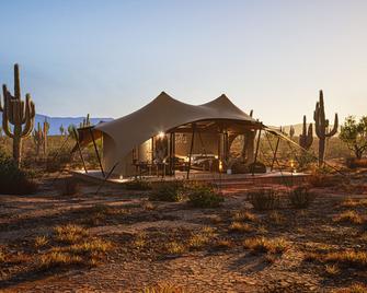 Saguaroglamp - Marana - Building