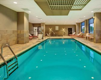 Holiday Inn Grand Rapids Downtown By IHG - גרנד ראפידס - בריכה