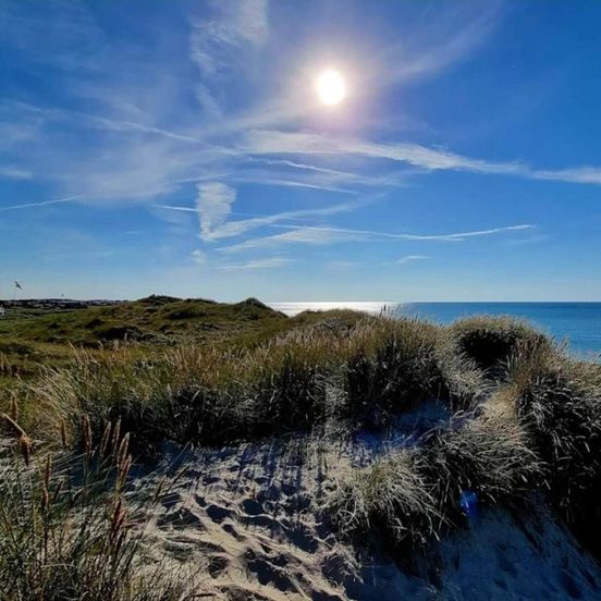 6 person holiday home in Skagen-By Traum – Skagen