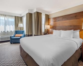 Comfort Inn & Suites Durango - Durango - Schlafzimmer