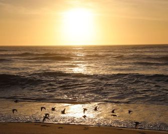 28 Sec Walk to Beach: Steam shower, Lululemon Mirror, Power Outage-Free Living - Moss Landing - Beach