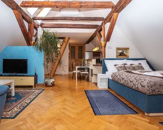 Ubytování U BíLÉ Paní - Český Krumlov - Habitación