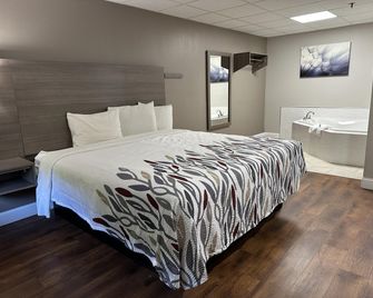 Red Roof Inn & Suites Swansea - Swansea - Bedroom