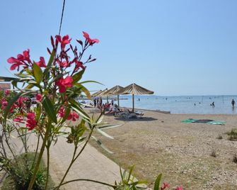 Apartments Zrakic - Zaton - Beach
