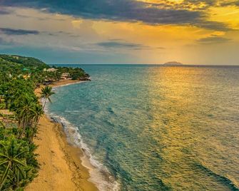 Casa Verde Hotel - Rincon - Spiaggia