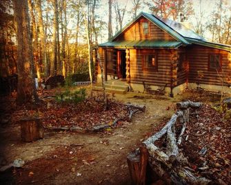 Spectacular Fall Foliage! Cozy Cabin on 11 acres w/ Lake & Mtn Views. - Bristol (Tennessee)