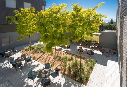 Hôtel Des Patients - Lausanne - Patio