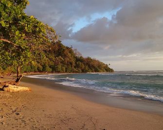 Villaspuravida - Guapinol - Cobano - Playa