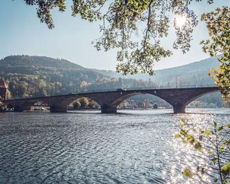 Mainterrasse Boardinghouse Am Fluss Klimatisierte Apartments Mit 80qm Terrasse - Miltenberg - Outdoors view