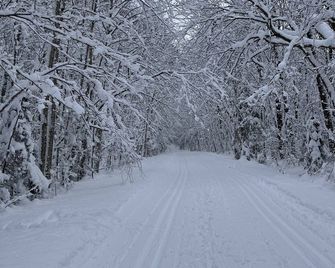 Century Home in Bracebridge Muskoka - Bracebridge - Outdoors view