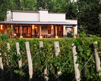 Algodon Wine Estates and Champions Club - San Rafael - Edificio