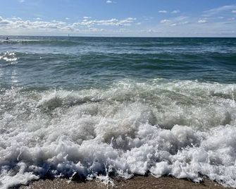 Strandläufernest - Sylt - Plage