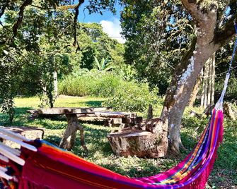 Amancay House - San Cristobal - Patio