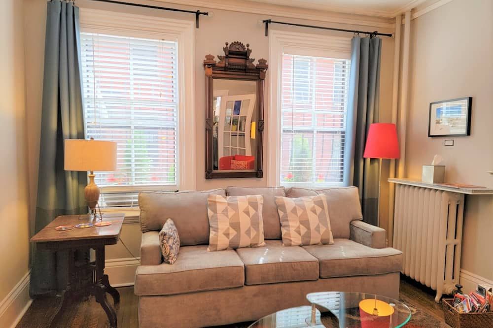Special!!excellent, Sunny! Duplex!! Pvt! Condo! 1.5 Miles to Center - Boston - Living room