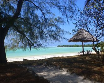 Pemba Eco Lodge - Kengeja - Playa