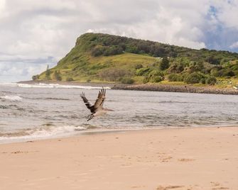 Sea Views 22 Lennox Head Beach Resort - Lennox Head