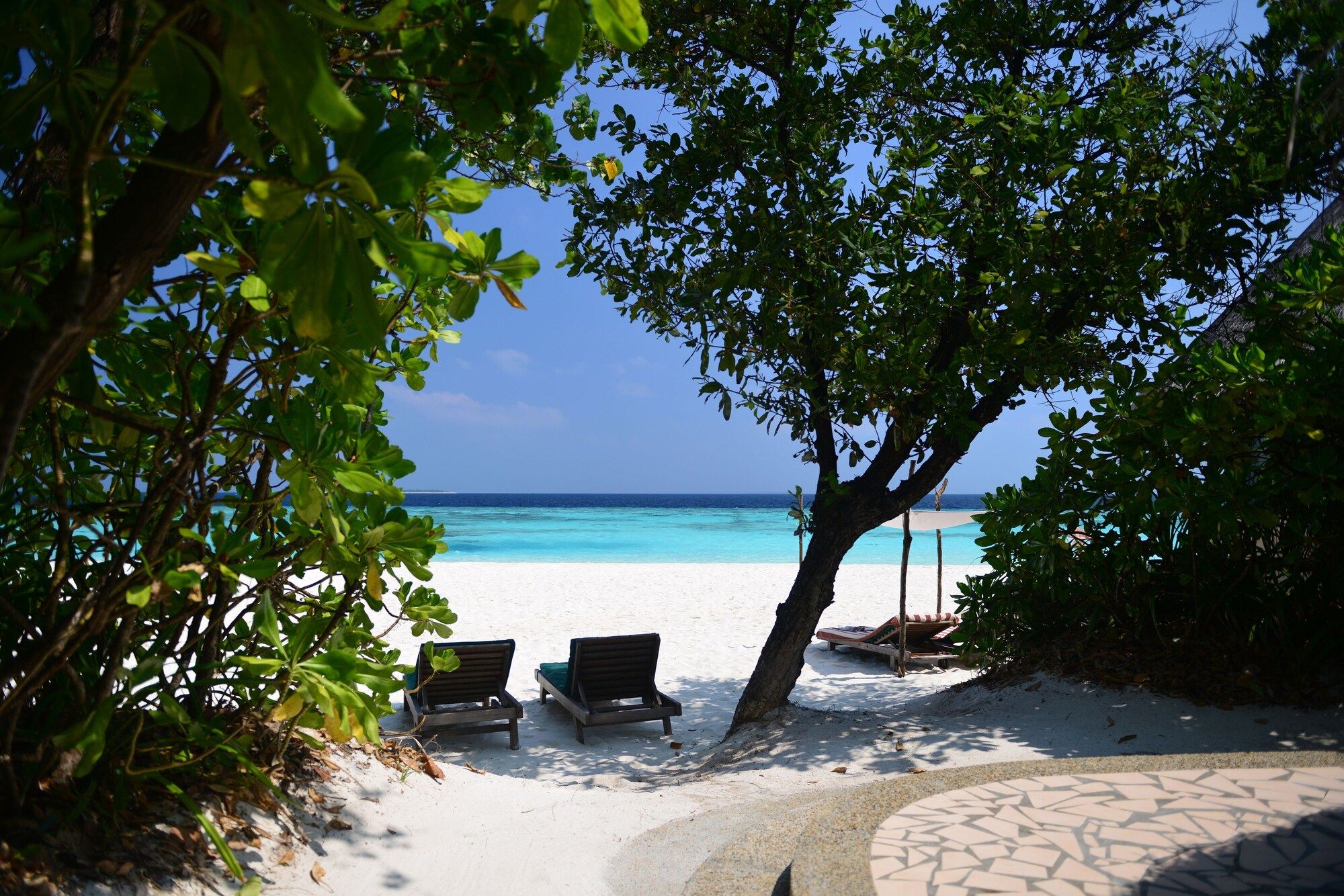 Coco Palm Dhuni Kolhu